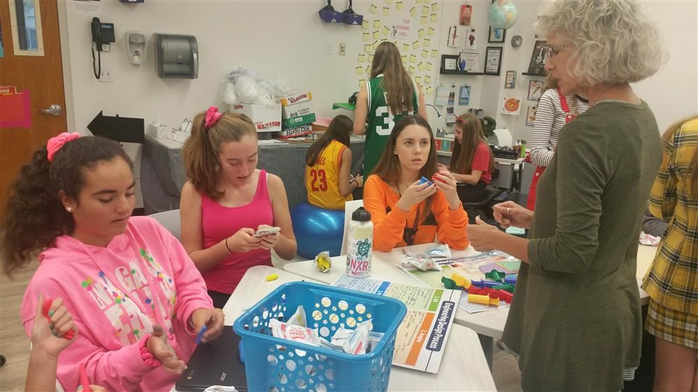 human ecology human ecology