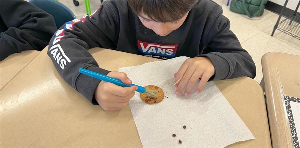  4th graders were paleontologists and did a fossil dig using cookies, toothpicks, and paintbrushes. 